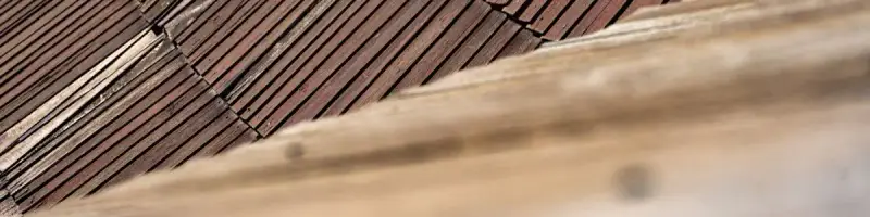 roofing in Palestine, TX