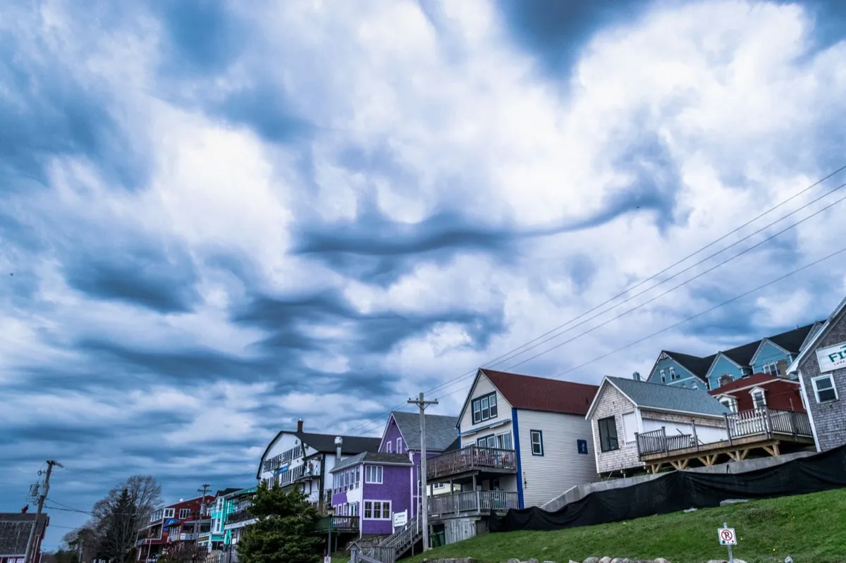 Storm Damage Restoration in Palestine, TX